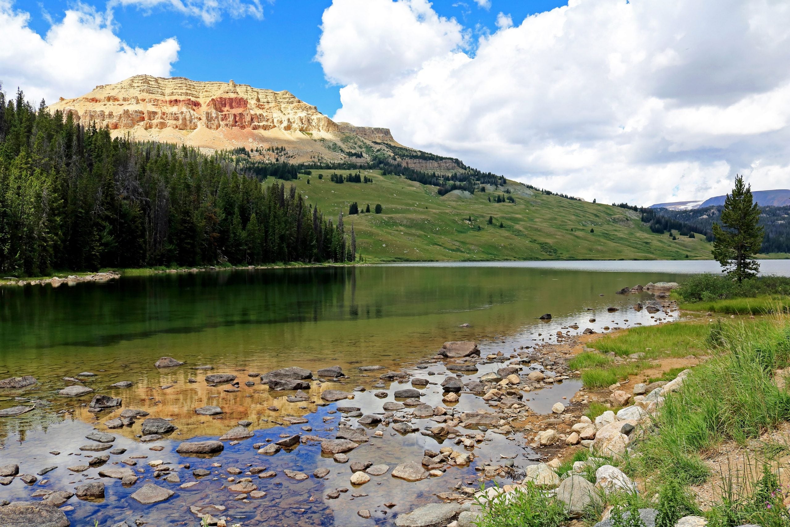 Skip the crowds: 10 national forests to explore this summer