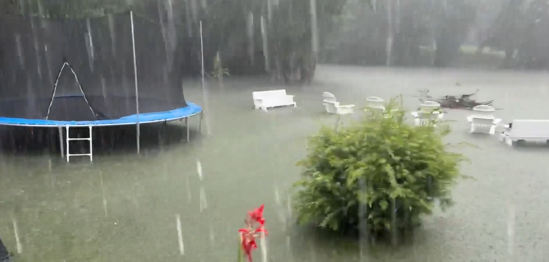 Tragic flooding: Floodwaters wipe out Mississippi woman's entire chicken flock