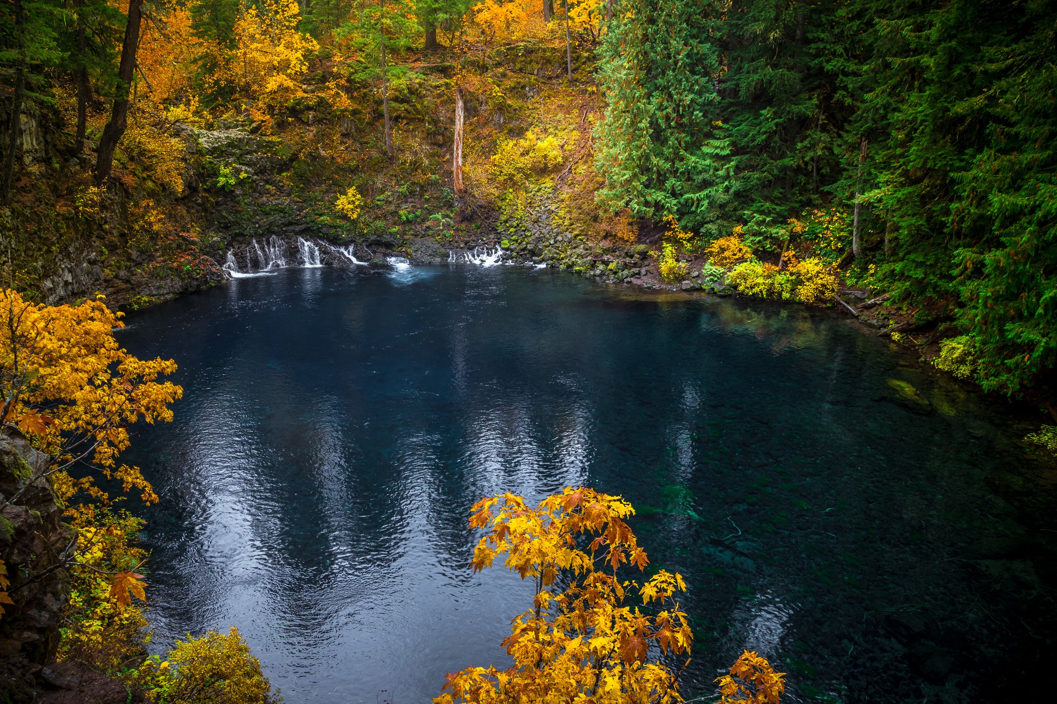 ‘It will take lives again’: College student dies after jumping into Oregon’s iconic Blue Pool