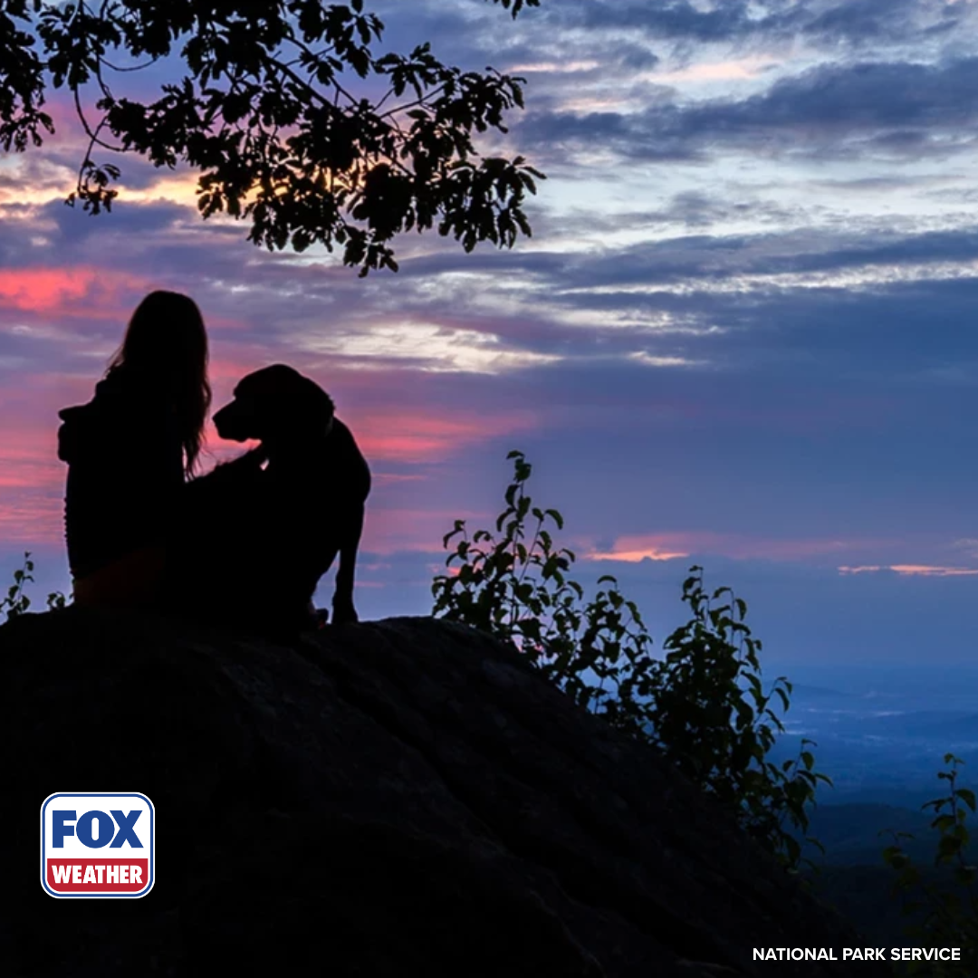 The best National Parks to visit with your dog this summer