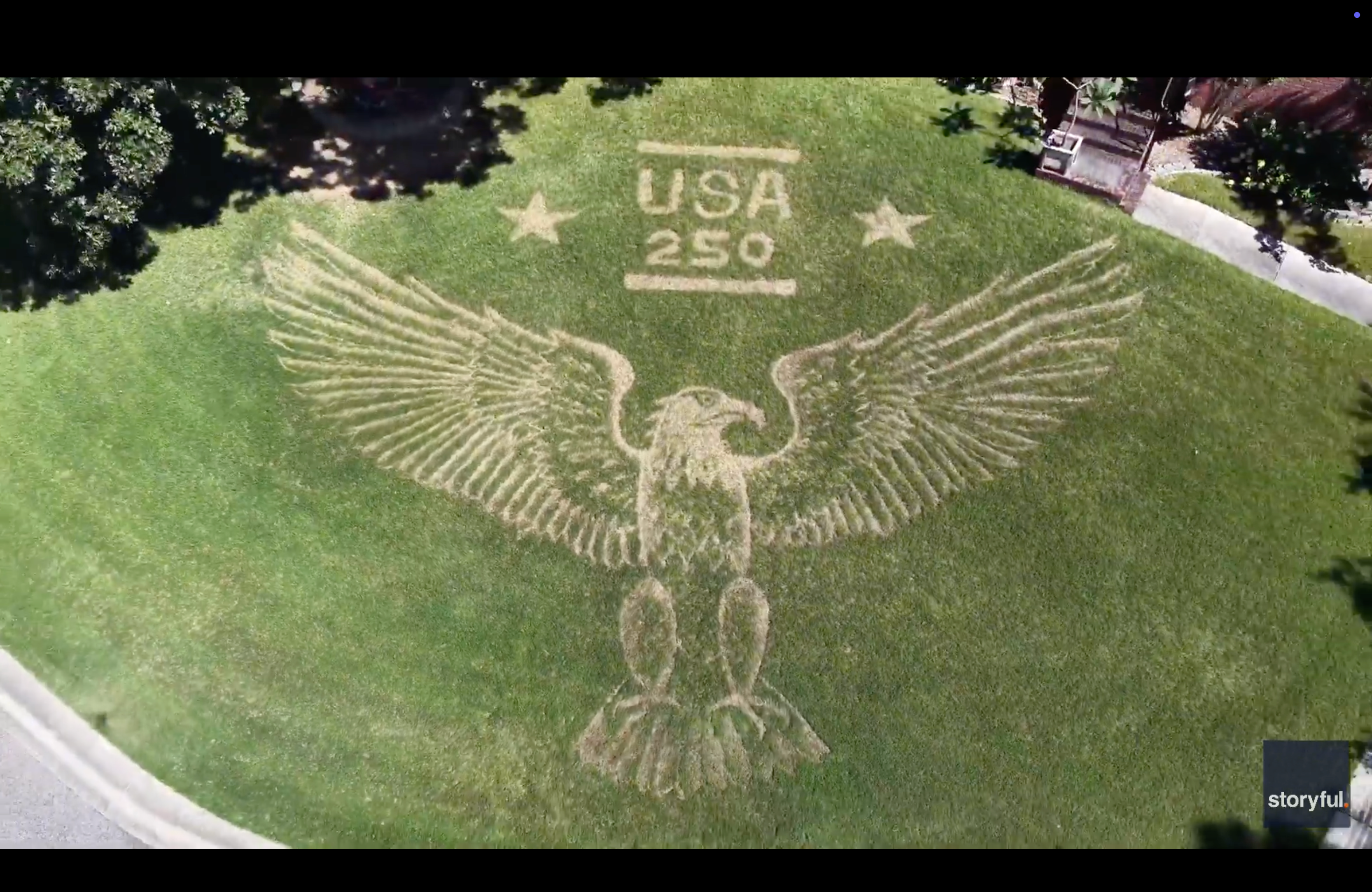 The most patriotic front lawn in America celebrates the nation's 250th with a bald eagle mural