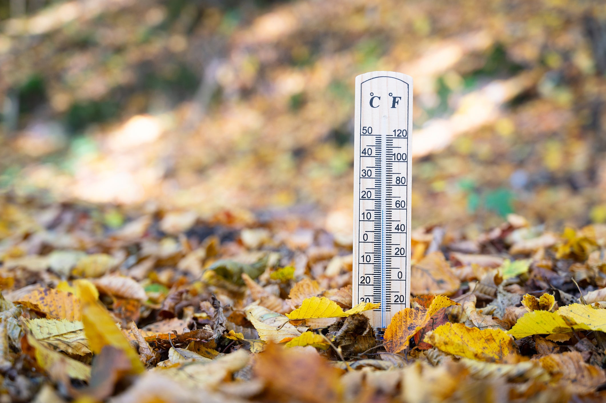 From first frost to scorching temperatures as New England feels fall while dozens of states bake