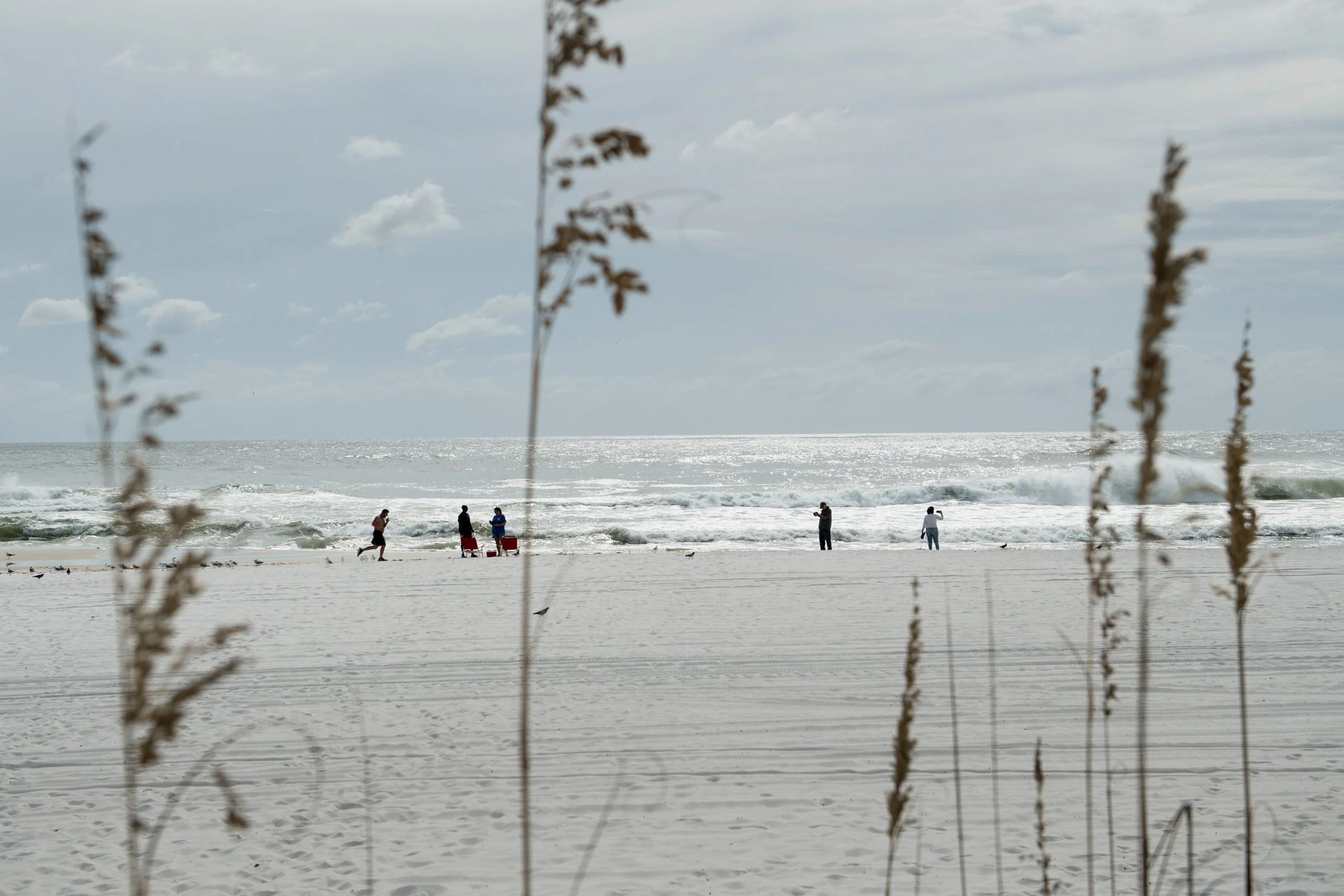 Father of 2 drowns after being caught in current trying to rescue seagull caught in fishing line
