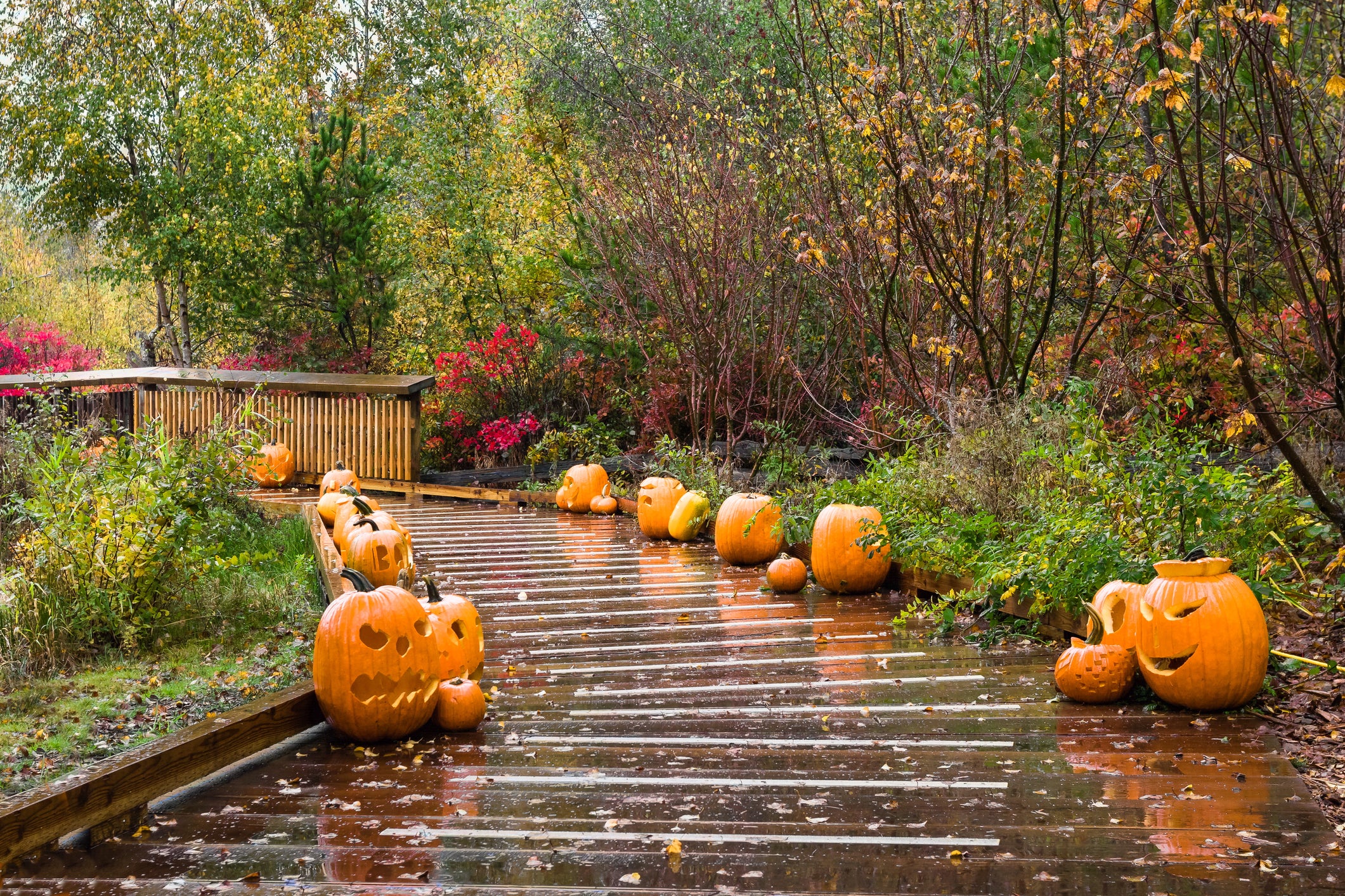 More than 20 states to see troublesome Halloween weather as rain, storms dominate the forecast