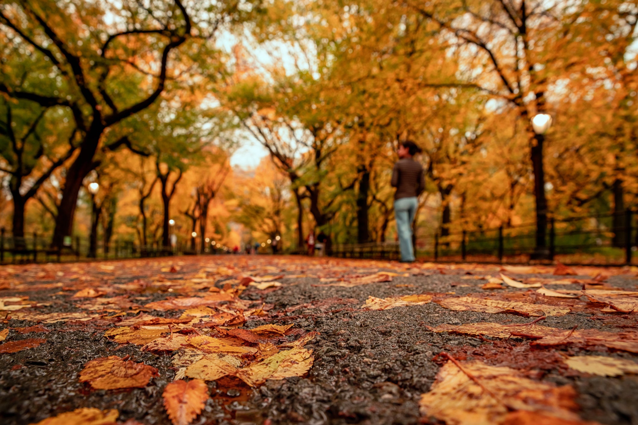 Gloomy Sunday brings rain to East before chilly stretch grips millions with first October frost