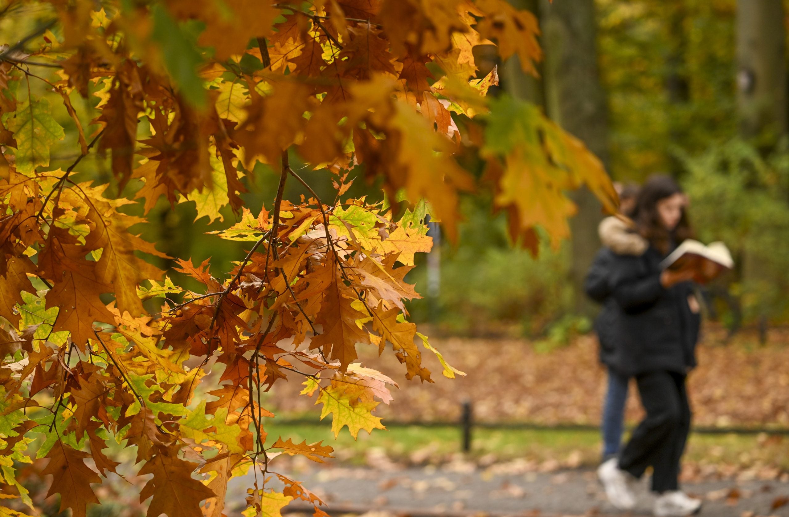 West Coast plagued by unbearable heat while the East experiences first taste of chilly weather this fall