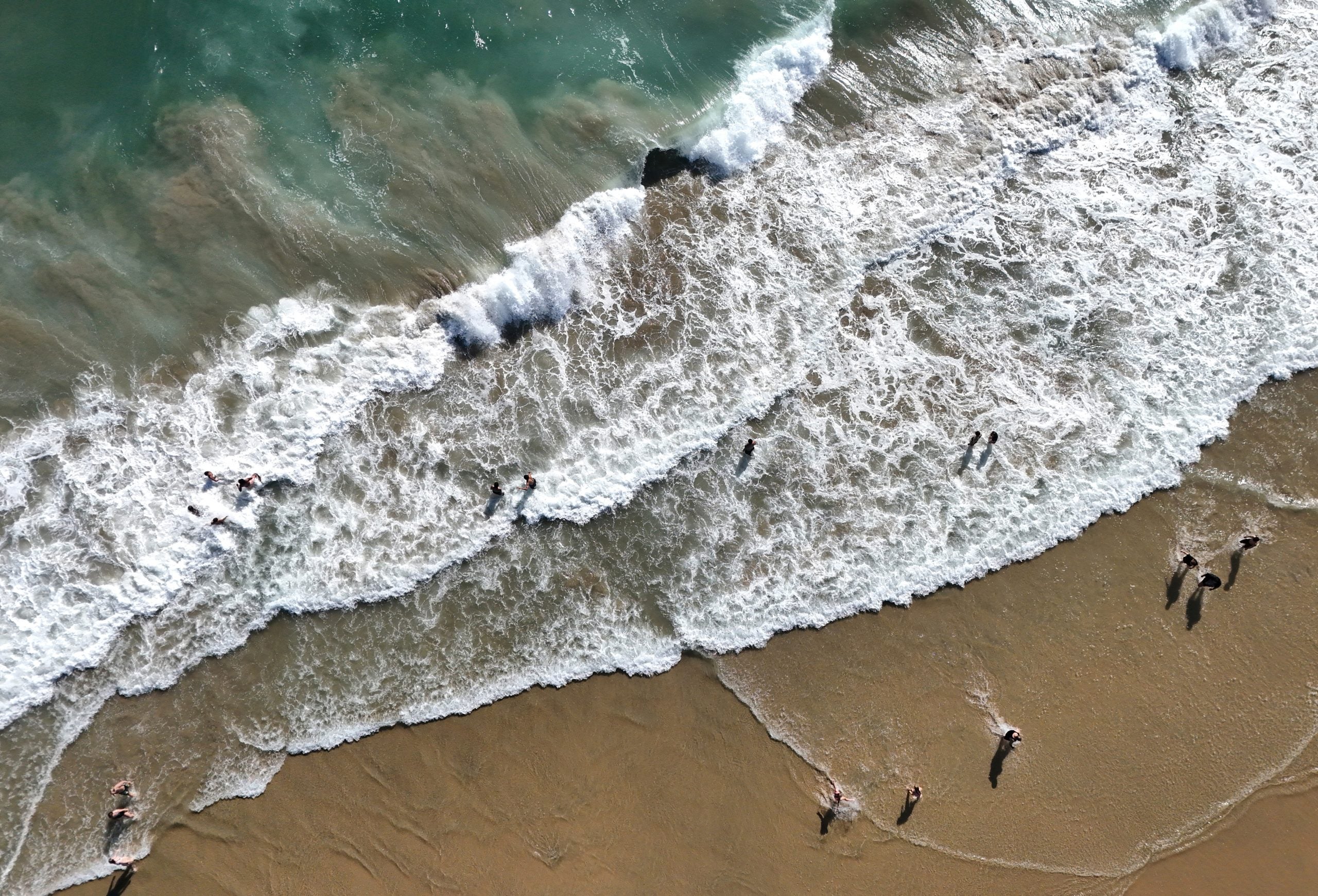 'Aggressive' and massive great white shark sighting prompts immediate closure of popular California beach