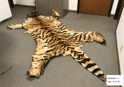 Lion teeth, bear gallbladders and cougar bones: California couple sentenced in wild trafficking case