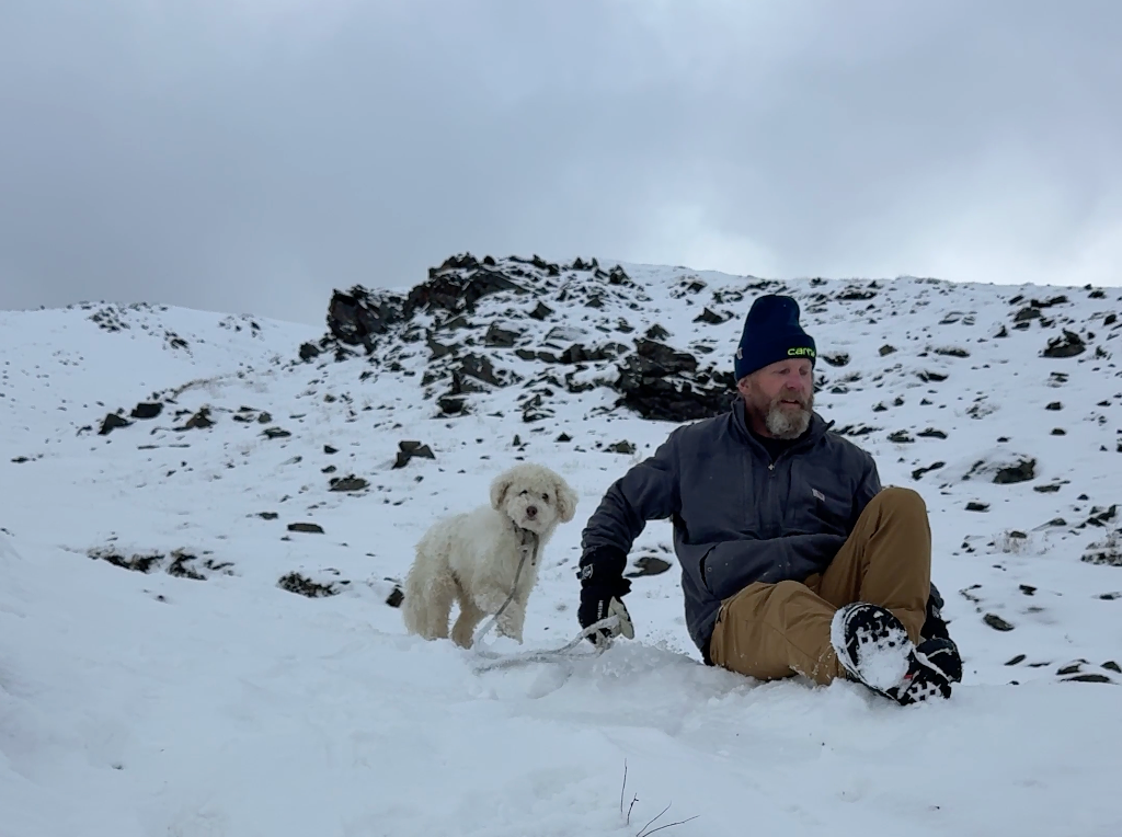 Dog miraculously found alive 2 days after being separated from owner in Alaska avalanche