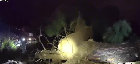 See it: Severe storms leave New Mexico communities littered with damage and downed trees